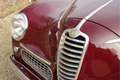 Alfa Romeo Alfa 6 6C 2500 Sport Berlina GT Painstakingly maintained Rot - thumbnail 27