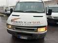 Iveco daily doppia cabina Wit - thumbnail 2