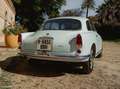 Alfa Romeo Giulia Sprint Blue - thumbnail 13
