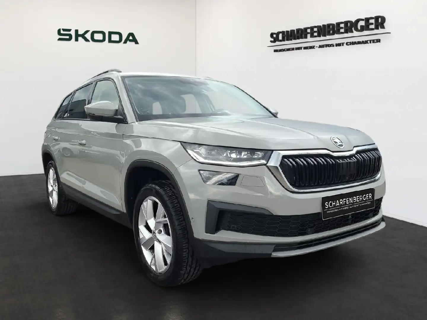 Skoda Kodiaq Tour TDI DSG 4x4*TWA,360°,Sthz.* Grau - 2