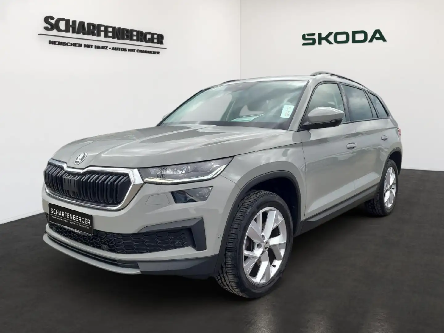Skoda Kodiaq Tour TDI DSG 4x4*TWA,360°,Sthz.* Grau - 1