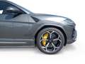 Lamborghini Urus 4.0 650CV Gris - thumbnail 25