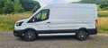 Ford Transit Transit/ Kasten 2,0 EcoBlue L2/H2 Startup Weiß - thumbnail 1
