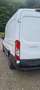 Ford Transit Transit/ Kasten 2,0 EcoBlue L2/H2 Startup Weiß - thumbnail 8