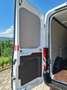 Ford Transit Transit/ Kasten 2,0 EcoBlue L2/H2 Startup Weiß - thumbnail 14