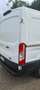 Ford Transit Transit/ Kasten 2,0 EcoBlue L2/H2 Startup Weiß - thumbnail 7