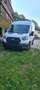 Ford Transit Transit/ Kasten 2,0 EcoBlue L2/H2 Startup Weiß - thumbnail 21