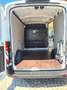 Ford Transit Transit/ Kasten 2,0 EcoBlue L2/H2 Startup Weiß - thumbnail 11