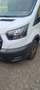 Ford Transit Transit/ Kasten 2,0 EcoBlue L2/H2 Startup Weiß - thumbnail 3