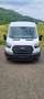 Ford Transit Transit/ Kasten 2,0 EcoBlue L2/H2 Startup Weiß - thumbnail 2