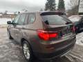 BMW X3 xDrive30d Österreich-Paket Aut. Braun - thumbnail 8