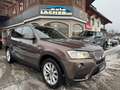 BMW X3 xDrive30d Österreich-Paket Aut. Braun - thumbnail 1