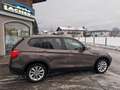 BMW X3 xDrive30d Österreich-Paket Aut. Braun - thumbnail 5