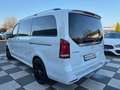 Mercedes-Benz V 250 CDI 4Matic AMG-Line +Lang+360°+ILS+Leder Weiß - thumbnail 8