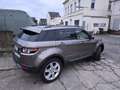 Land Rover Range Rover Evoque Pure Braun - thumbnail 1