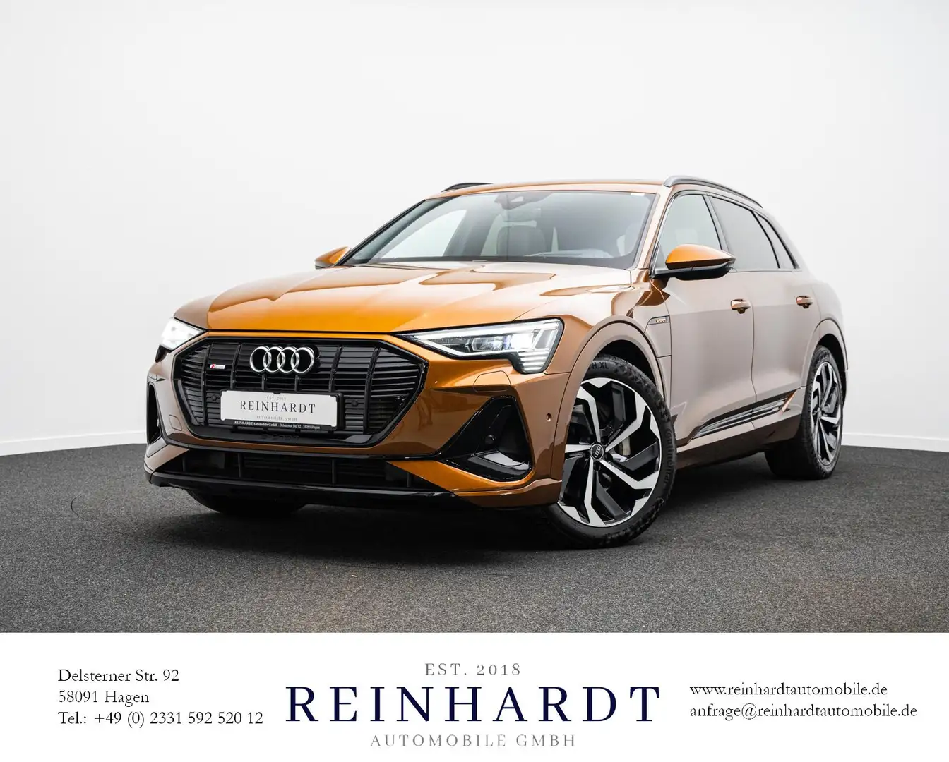 Audi e-tron 55 S LINE MATRIX/ACC/HuD/PANO/B&O/KAMERA Braun - 1