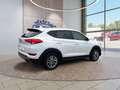 Hyundai TUCSON 1.6 Advantage 4WD Allwetter top Ausstattung Blanc - thumbnail 5