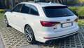Audi S4 S4 Avant 3.0 tfsi Business quattro 354cv tiptronic Белый - thumbnail 3