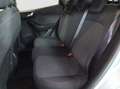 Ford Puma Puma 1.0 Ecoboost Hybrid ST-Line 125cv Argento - thumbnail 12