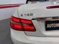Mercedes-Benz E 200 Avantgarde Line Blanco - thumbnail 41