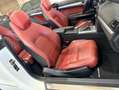 Mercedes-Benz E 200 Avantgarde Line Blanco - thumbnail 20