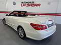 Mercedes-Benz E 200 Avantgarde Line Blanco - thumbnail 7