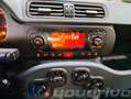 Fiat New Panda 1.0 FireFly S&S Hybrid KM 48.700 Grigio - thumbnail 13