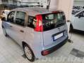 Fiat New Panda 1.0 FireFly S&S Hybrid KM 48.700 Grigio - thumbnail 3