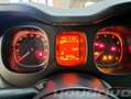 Fiat New Panda 1.0 FireFly S&S Hybrid KM 48.700 Grigio - thumbnail 12