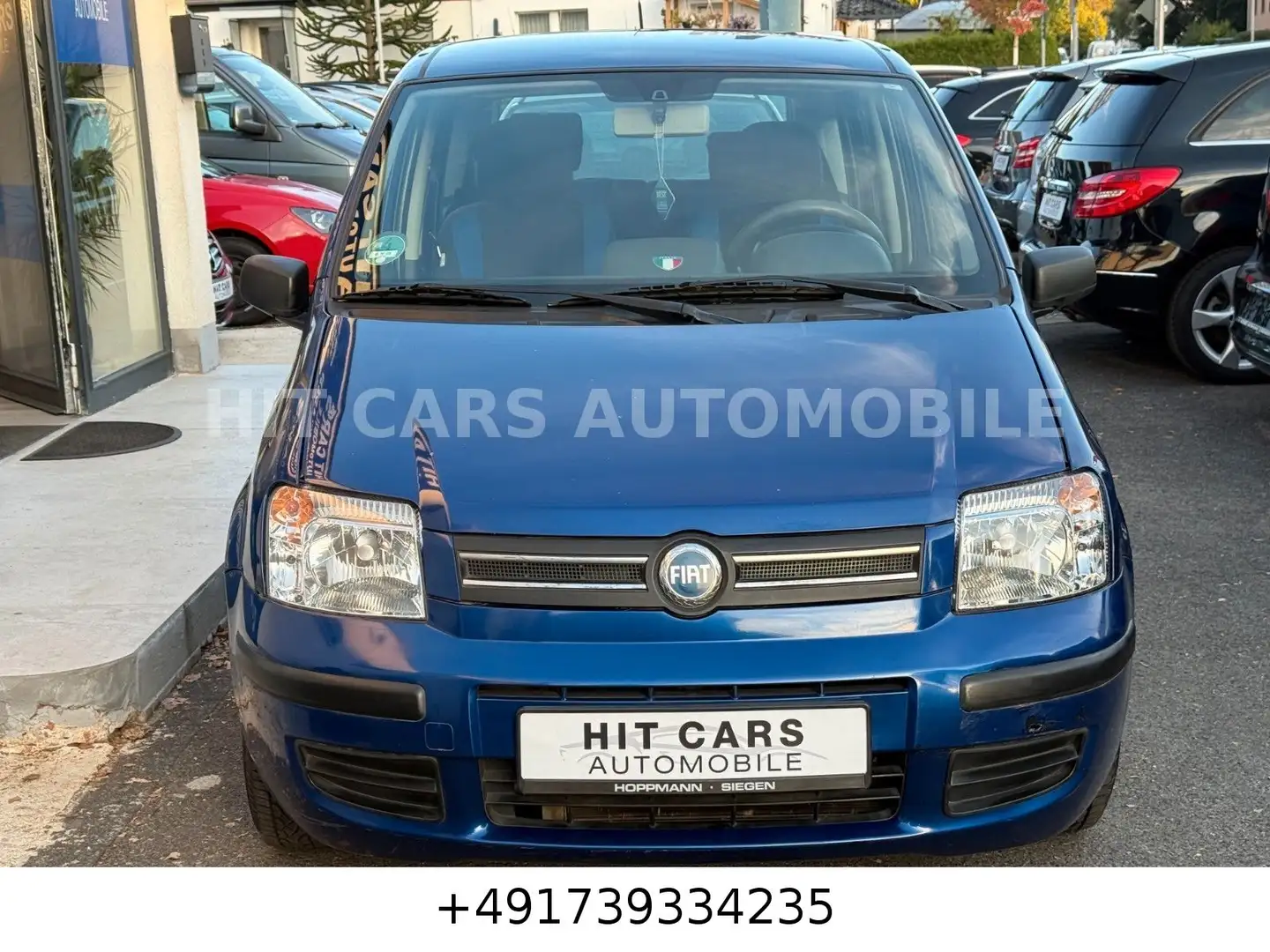 Fiat Panda 1.2 8V Dynamic Blau - 2