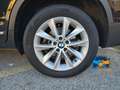 BMW X3 xdrive20d Eletta Schwarz - thumbnail 23