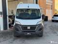 Fiat Ducato III (2) FOURGON TOLE MH2 2.3L 120 CH PACK BUISNESS L2H2 / TVA RECUPERABLE Bianco - thumbnail 2