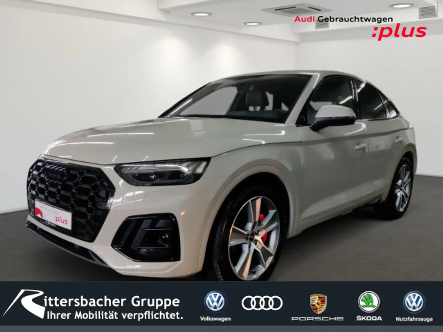 Audi SQ5 B&O AHK Matrix Luftfahrwerk Stadt+ Grau - 1