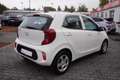 Kia Picanto 1.2 Edition 7 Sitzheizung Lenkradheizung Weiß - thumbnail 5