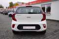 Kia Picanto 1.2 Edition 7 Sitzheizung Lenkradheizung Weiß - thumbnail 4