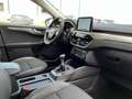 Ford Kuga 2.0 EcoBlue MHEV Titanium X Navi Soundsystem LED H Rot - thumbnail 17