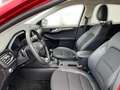 Ford Kuga 2.0 EcoBlue MHEV Titanium X Navi Soundsystem LED H Rot - thumbnail 9