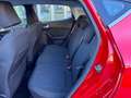 Ford Fiesta Fiesta 5p 5p 1.1 Titanium 75cv Rouge - thumbnail 6