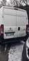 Peugeot Boxer Furgone Pegout Box Disell - thumbnail 8