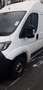 Peugeot Boxer Furgone Pegout Box Disell - thumbnail 4
