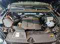 Audi Q5 40 TDI qu advanced S tro*Air*B&O*HUD*Pano*Mat Nero - thumbnail 15