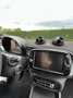 smart forFour smart forfour electric drive EQ pulse Blau - thumbnail 17