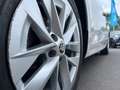 Skoda Octavia Combi 2,0 TDI DSG Weiß - thumbnail 3