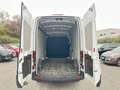 Ford Transit FORD TRANSIT ARMADA 350 L3H3 TREND 2.0 ECO 130CV*S Bianco - thumbnail 8
