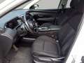 Hyundai TUCSON 1.6 T-GDi 48V-Hybrid 4WD DCT Trend Blanc - thumbnail 12