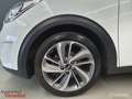 Kia Niro Hybrid Carplay|ACC |Parelmoerwit |Stoel&Stuur verw Blanc - thumbnail 3