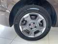 Fiat Qubo 1.3 mjt 16v Trekking 95cv Brun - thumbnail 16