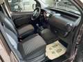Fiat Qubo 1.3 mjt 16v Trekking 95cv Brun - thumbnail 15