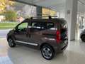 Fiat Qubo 1.3 mjt 16v Trekking 95cv Brun - thumbnail 4