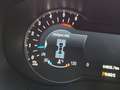Ford Edge Titanium Business-Paket AHK Automatik 4x4 Noir - thumbnail 12